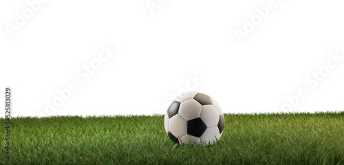 soccer ball on green grass 3d-illustration