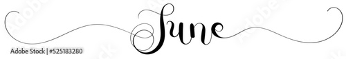 Hello JUNE Ornaments . JUNE month text lettering vector. Illustration month June calendar