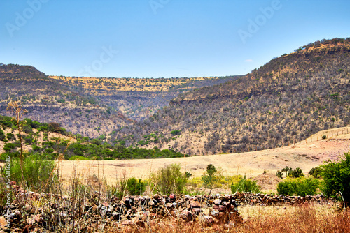 desertic landscape with yellow colors and rocks on monte escobedo, zacatecas rural zone