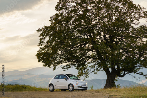 White vehicle stands against forestry mountains and hills covered with haze in countryside in cloudy evening. Car parked on green grass of roadside under giant alone tree with dark leaves at sunset © DimaBerlin