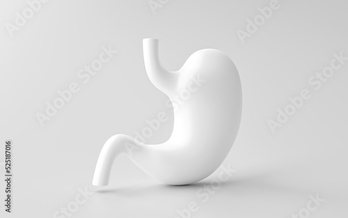 Blank human stomach 3d isolated on white digestion anatomy background with organ internal health body digestive biology system or medical healthy concept and empty esophagus abdomen gastric object. photo