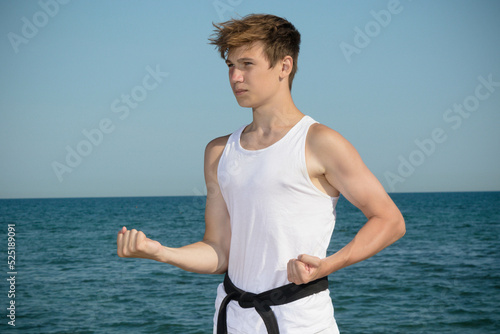 A 17 Year Old Teenage Boy Doing Karate photo