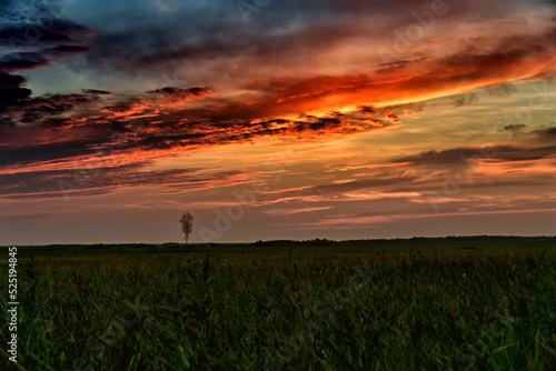Sunset over the swamp in summer. Lonely tree on the horizon. Landscape of Biebrza National Park in Poland, Europe. Dramatic clouds over the meadow.