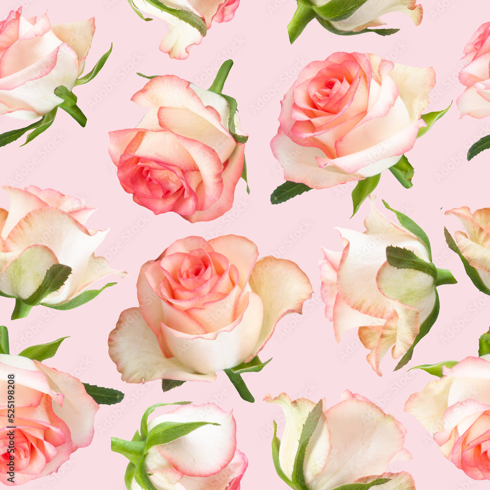 Seamless pattern of rose flowers photo on light pink background