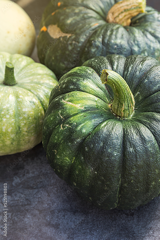 Autumnal Background. Natural autumn fall view pumpkins on dark black stone shale background. October or september wallpaper Change of seasons ripe organic food concept Halloween party Thanksgiving day Autumnal Background. Natural autumn fall view pumpkins on dark black stone shale background. October or september wallpaper Change of seasons ripe organic food concept Halloween party Thanksgiving day