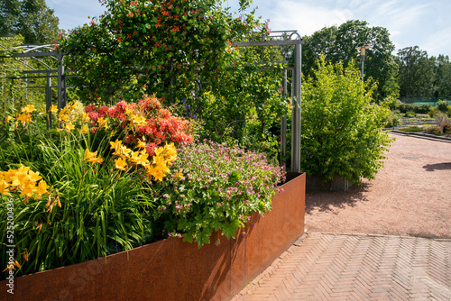 Bild auf Leinwand Rhododendron and honeysucle flowering  in corton steel boxes  in  Kaisaniemi Bot