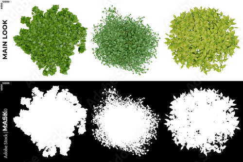 Wallpaper Mural 3D Rendering of Garden Plants (Residential or Commercial Space) with alpha mask to cutout and PNG editing. Vegetation for Nature Compositing Torontodigital.ca