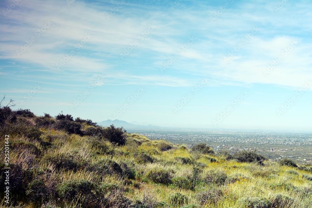Desert Desert