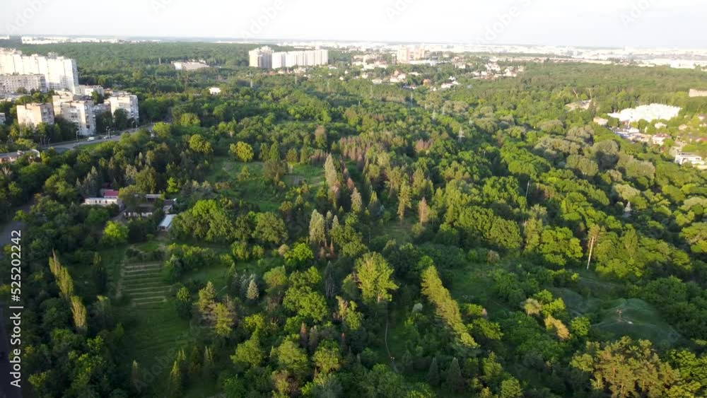 Vivid trees greenery in city park aerial view from descending drone. Flying forward above green summer sunny nature Vivid trees greenery in city park aerial view from descending drone. Flying forward above green summer sunny nature