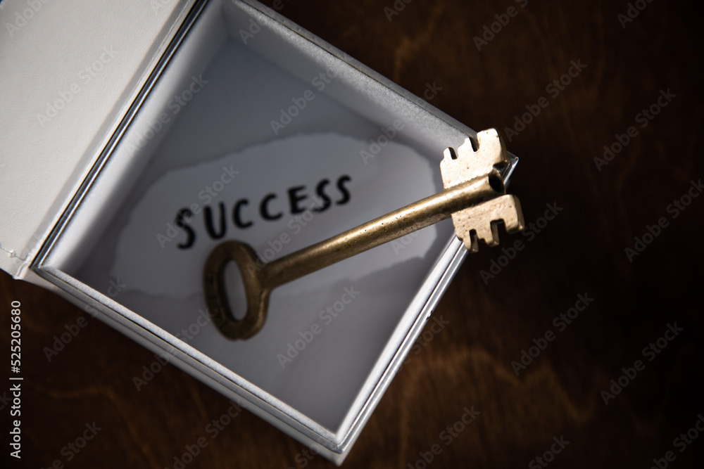 Fototapeta premium success text and key on box