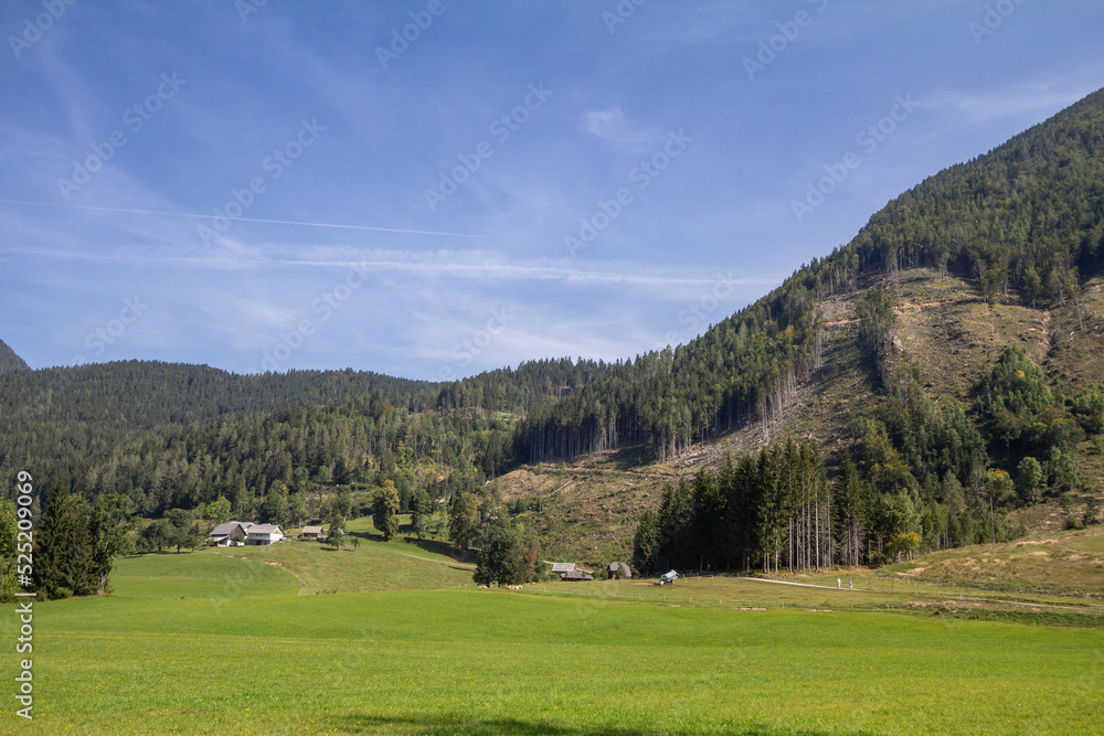 Selective blur on a typical alpine landscape, a mountain glade, a clearing field in the middle of an alpine forest of triglav national park in Zgornje Jezersko, in the julian alps in Slovenia Selective blur on a typical alpine landscape, a mountain glade, a clearing field in the middle of an alpine forest of triglav national park in Zgornje Jezersko, in the julian alps in Slovenia