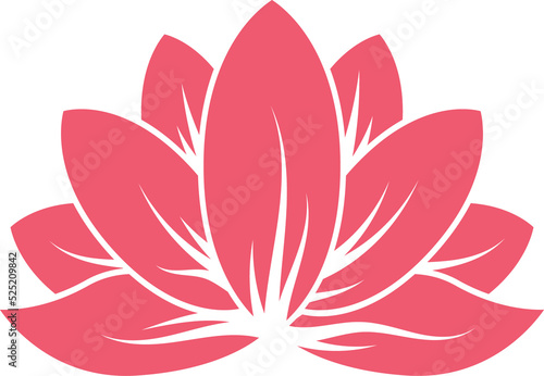 Pink lotus flower buddhism symbol isolate blooming