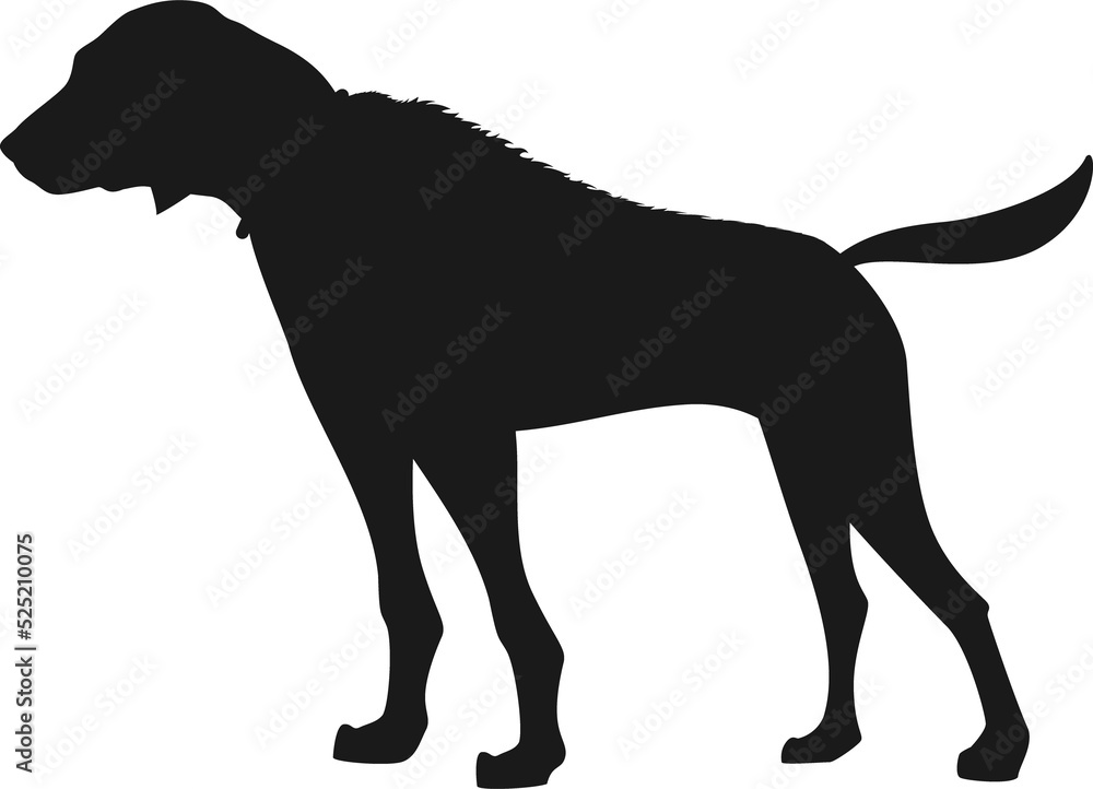 Dog pointer isolated silhouette, hunting breed