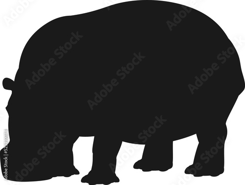 Hippopotamus isolated aquatic animal silhouette photo