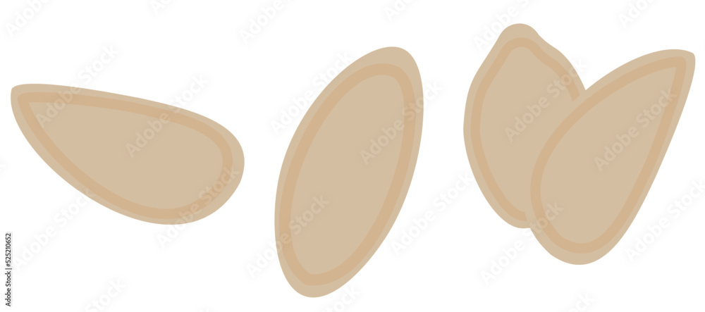 Fototapeta premium Clean Pumpkin Seeds in Shells