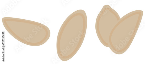 Clean Pumpkin Seeds in Shells