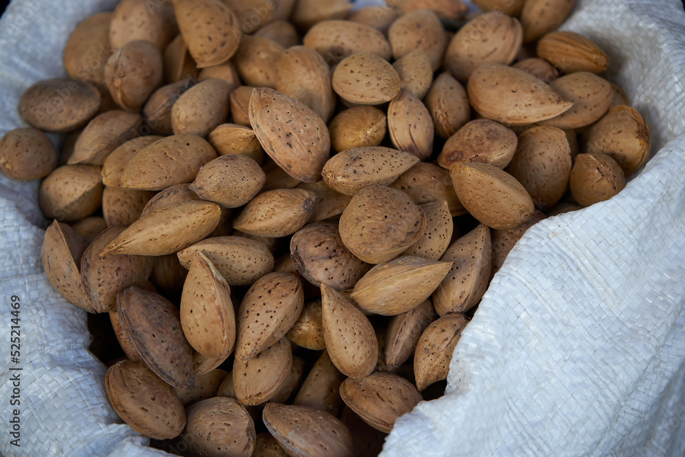 Obraz premium Raw almonds in shell