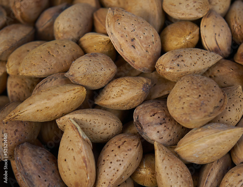 Raw almonds in shell