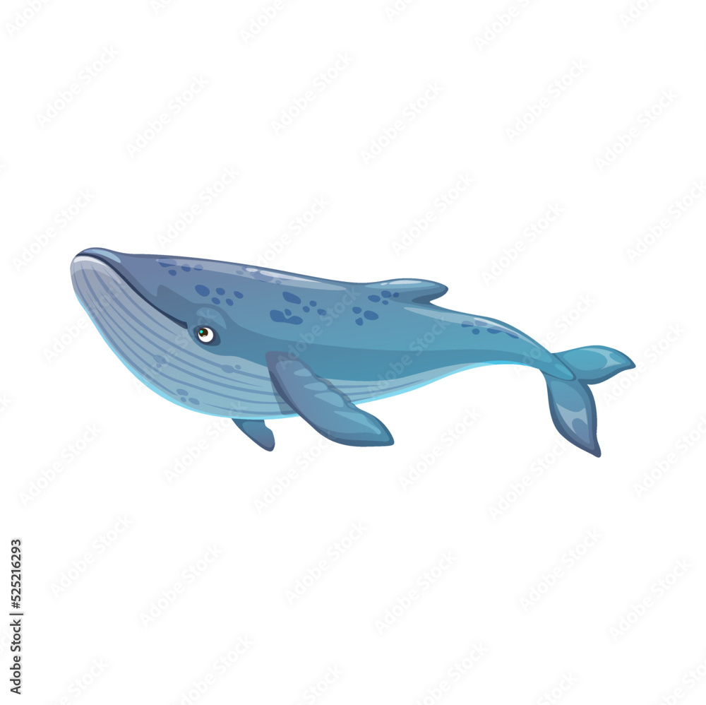 Blue whale underwater animal, isolated vector sea and ocean mammal creature. Marine fauna, undersea life, cetacean character Blue whale underwater animal, isolated vector sea and ocean mammal creature. Marine fauna, undersea life, cetacean character