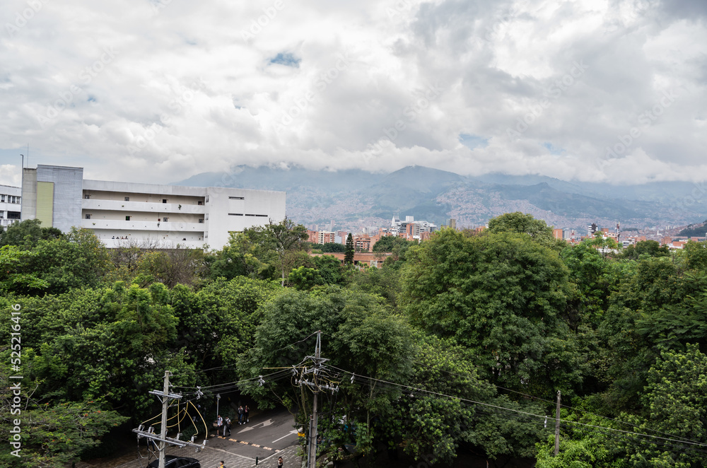 view of the city from the top of the hill