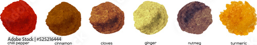Watercolor dry kitchen spices: pepper, chili, curcuma, ginger, cardamom, nutmeg