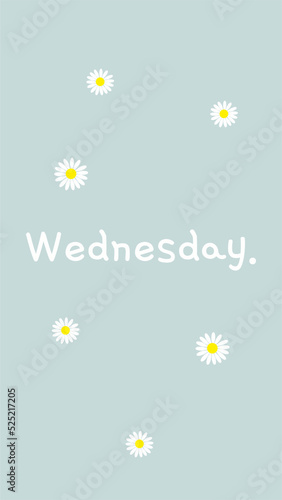 Daisy with blue background with phrase Wednesday. Make your beautiful Wednesday