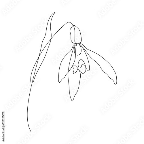 flower in continuous line hand drawn stroke line, minimalist design element
