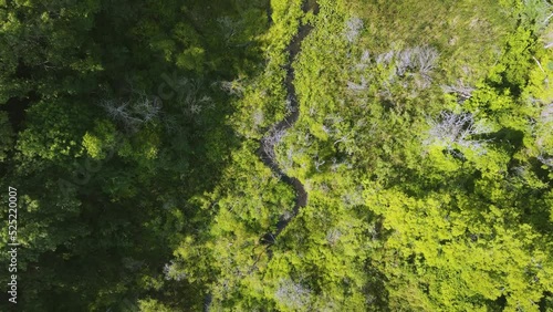 Wallpaper Mural Bird's eye track of Ruddiman Lagoon in the Nims neighborhood of Muskegon. Torontodigital.ca