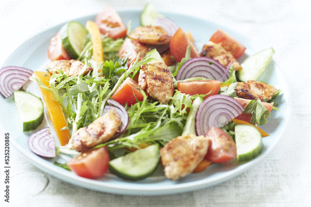 Salad with Chicken Breast, Cherry Tomatoes, Cucumber, Orange Pepper, Endive and Red Onion. Close up. Salad with Chicken Breast, Cherry Tomatoes, Cucumber, Orange Pepper, Endive and Red Onion. Close up.