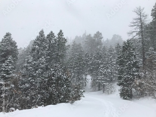mostly nature