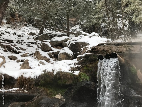 mostly nature