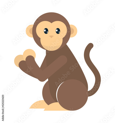 Photography cute monkey icon
