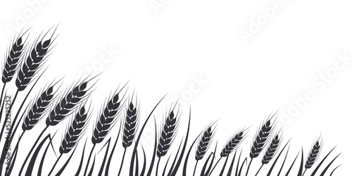 Wheat, oat, rye or barley field silhouette. Cereal plant border, agricultural landscape with black spikelets. Banner for design beer, bread, flour packaging.