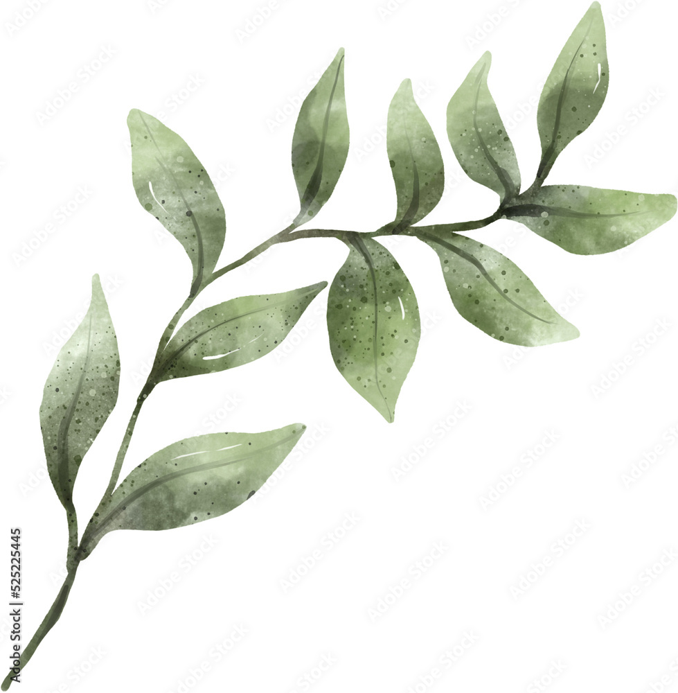 Naklejka premium Leaf Watercolor Illustration