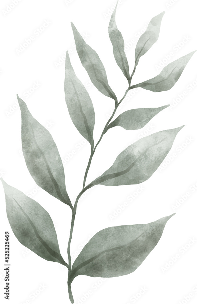 Leaf Watercolor Illustration