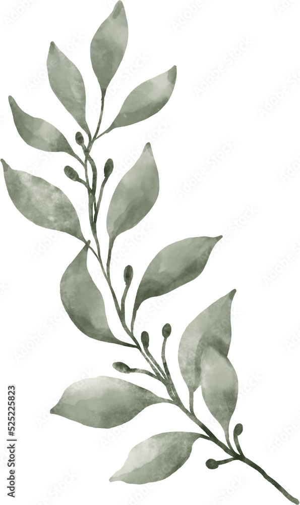 Leaf Watercolor Illustration Leaf Watercolor Illustration