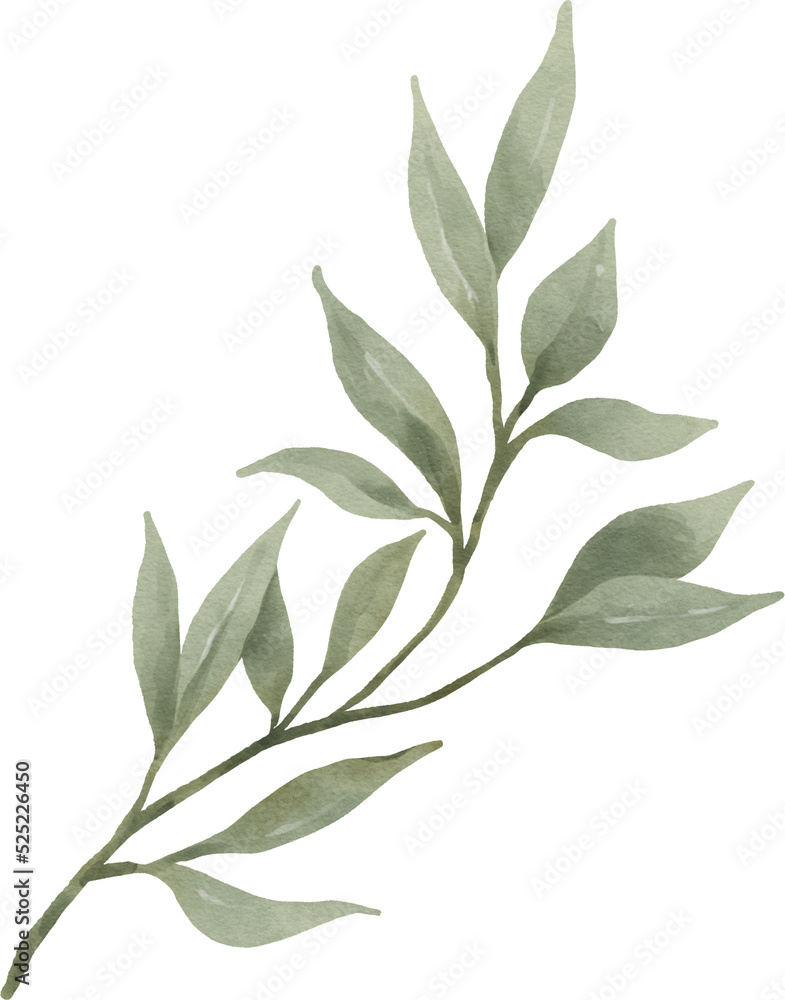 Leaf Watercolor Illustration Leaf Watercolor Illustration