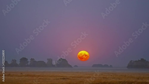 Super moon rises over a farm field with a low layer of fog or mist to glow over the countryside - time lapse photo