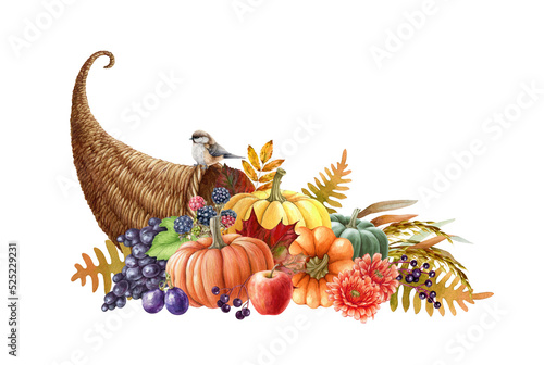 Harvest cornucopia hand drawn watercolor illustration. Festive thanksgiving cornucopia with pumpkins, grapes, apples, autumn flowers and leaves. Autumn seasonal decoration. White background photo