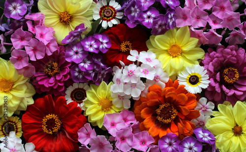 Texture of various flowers, top view. Floral background