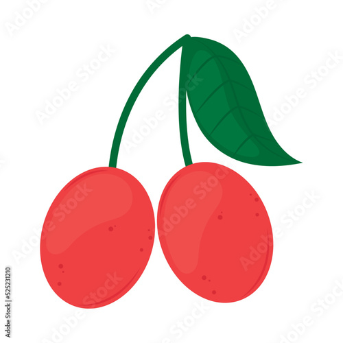 cherry fruit icon