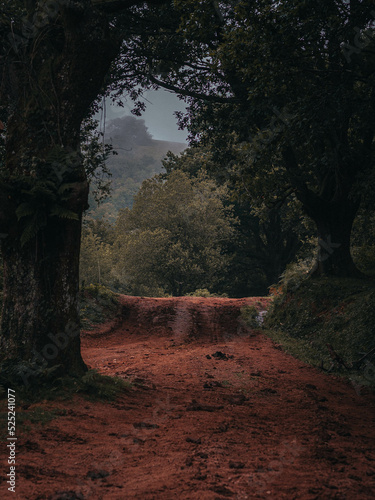 chemin basque