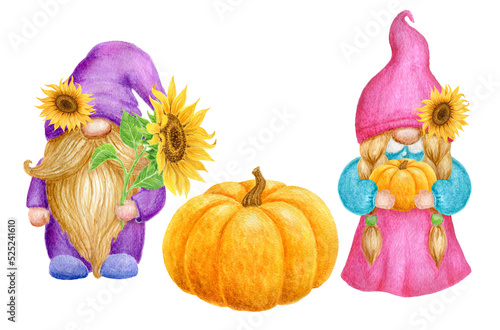 Gnomes with pumpkin and sunflowers. Thanksgiving or Harvest Day card design. Watercolor drawing. photo