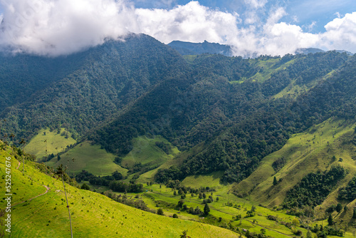 Scenic landscape of tall wax palm trees in Cocora Valley, Salento,Quindio, Colombia, South America