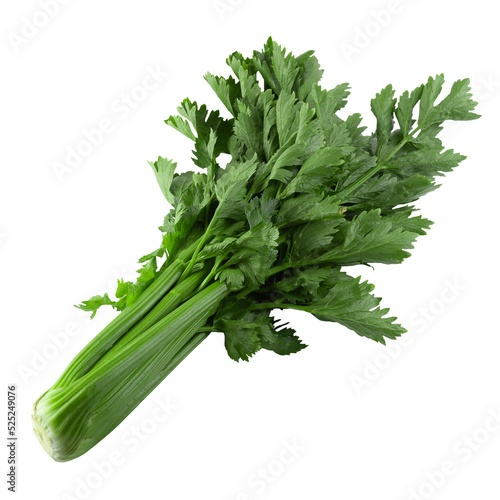 Obraz na płótnie fresh celery isolated over alpha background. w salonie