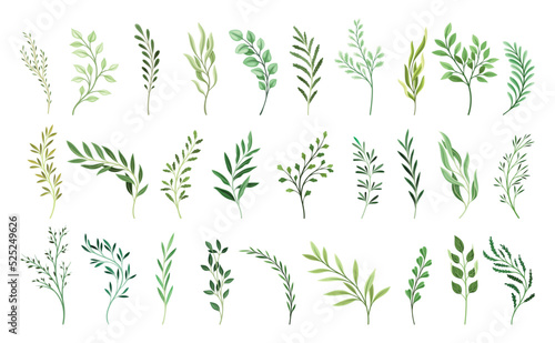 Set of green plant branches. Beautiful botanical elements with different leaves. Herbal stickers for wedding invitations and spring cards. Cartoon flat vector collection isolated on white background