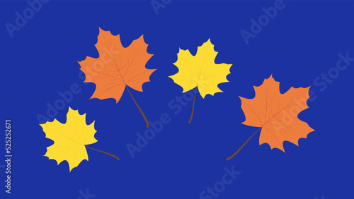 yellow and orange leaves on a blue background