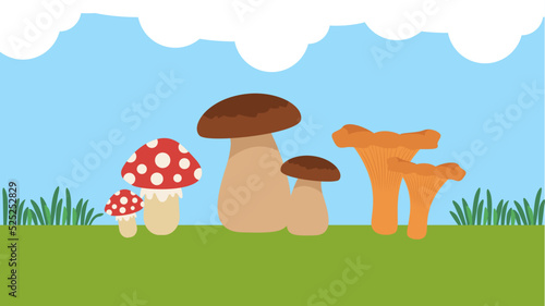 edible and poisonous mushrooms