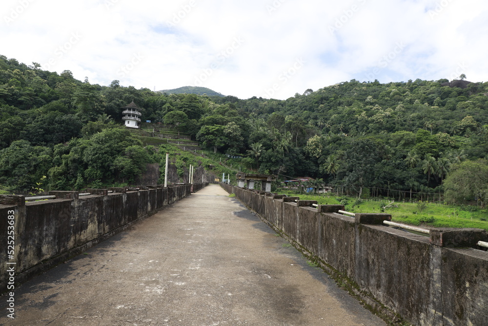 concrete  bridge in the forest 