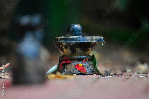 Canvas Print Lord shiva after nandhi statue